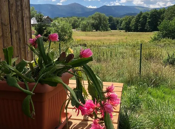 Glamping Stodola Sfera Luxusní stan *